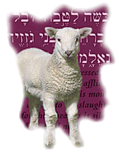 Pesach lamb