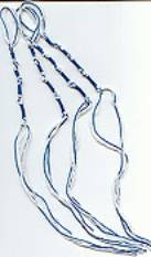 tzitzit